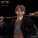 Ron Weasley 1/6 action figure with costume 26 cm